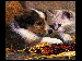 CADG.GIF